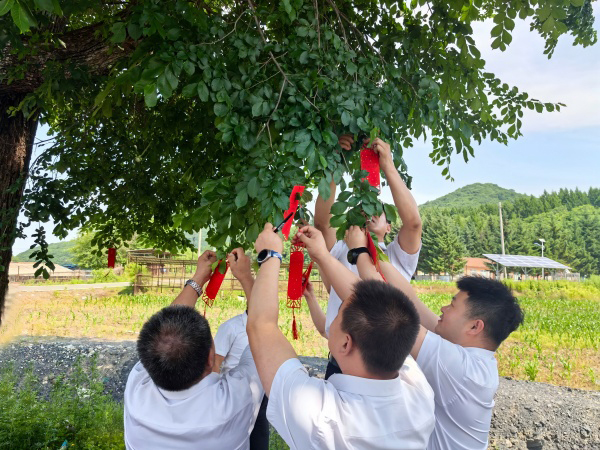 微信图片_2025-06-26_141230_185(600).jpg