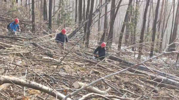 1764298072621077.jpg 3(1).jpg