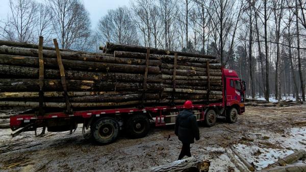 1764298098140799.jpg 4(1).jpg