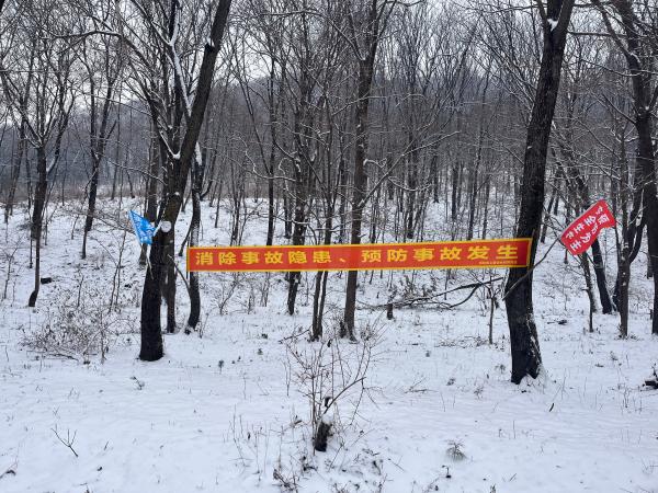 1764309890229316.jpg 1(1).jpg