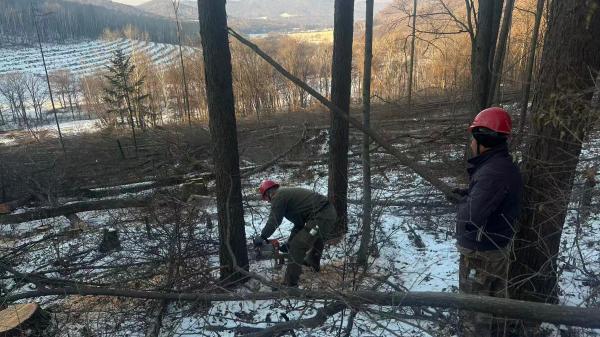 1764309905135188.jpg 2(1).jpg