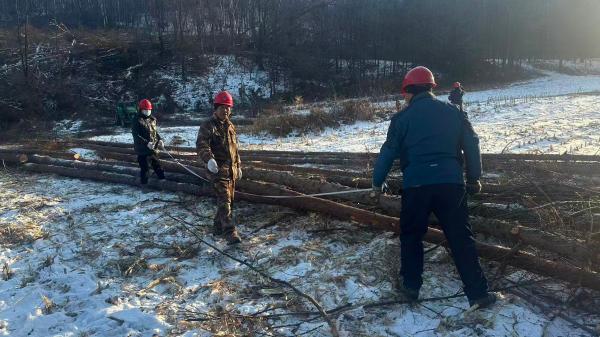 1764309933151041.jpg 4(1).jpg