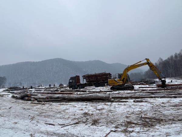 1764309945993818.jpg 5(1).jpg