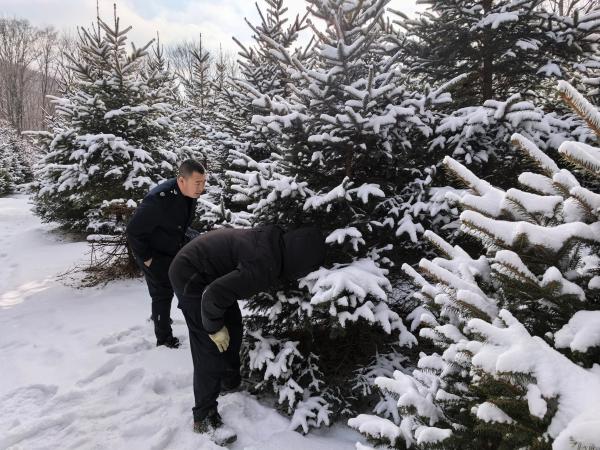 1764570668133398.jpg 1.jpg