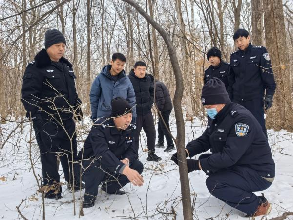 1766112663453641.jpg 2.jpg